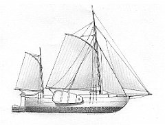 D - Aak del Reno - da modello del Museo di Basilea 